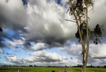 九游娱乐-塔斯马尼亚联赛前发布会：全队信心满满迎战摩洛哥瓦赫达