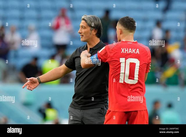 包含瑞士队奋力晋级欧洲锦标赛，关注他们的表现的词条