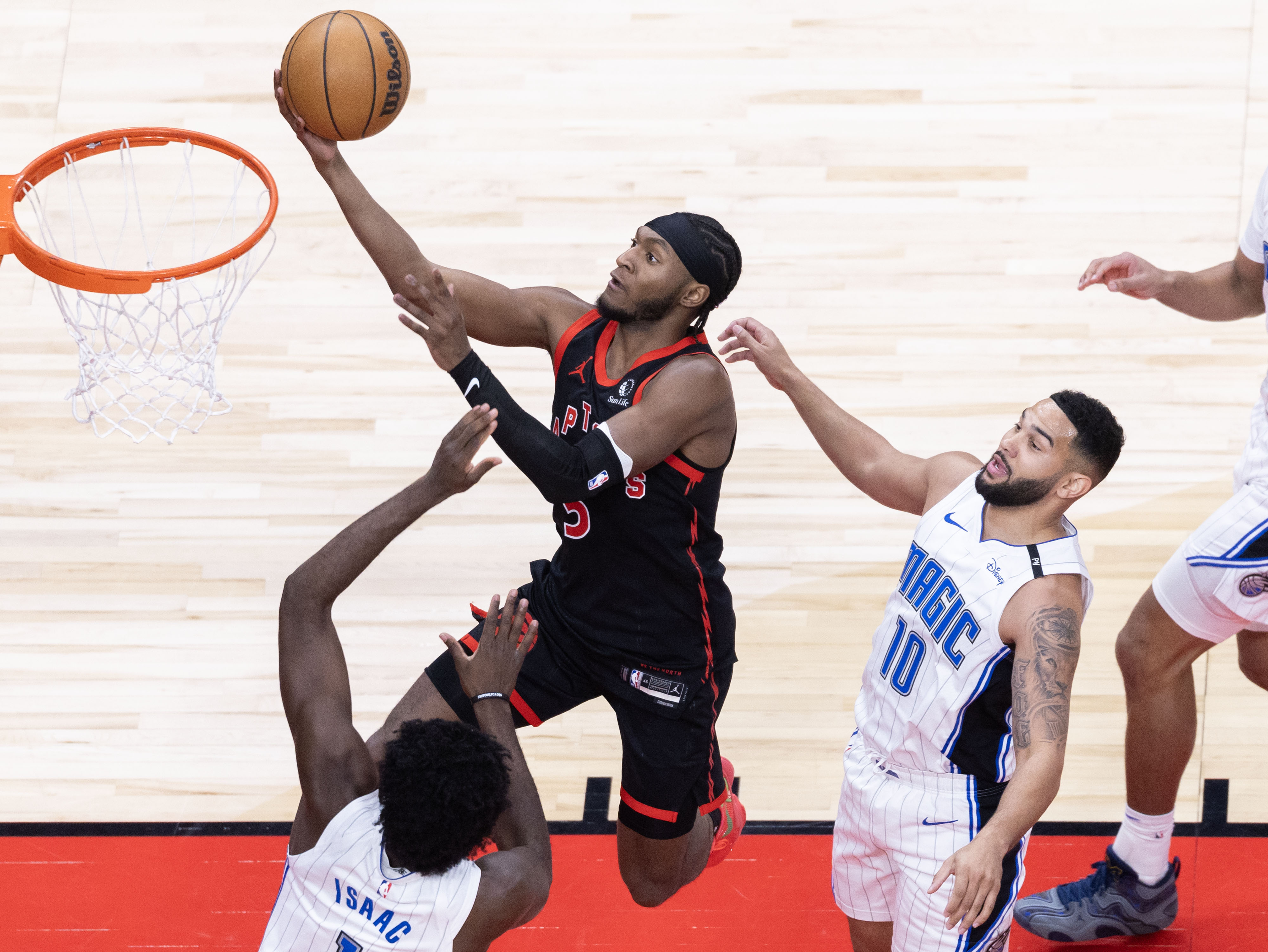 包含猛龙再次壮大，王牌后卫大放异彩的词条