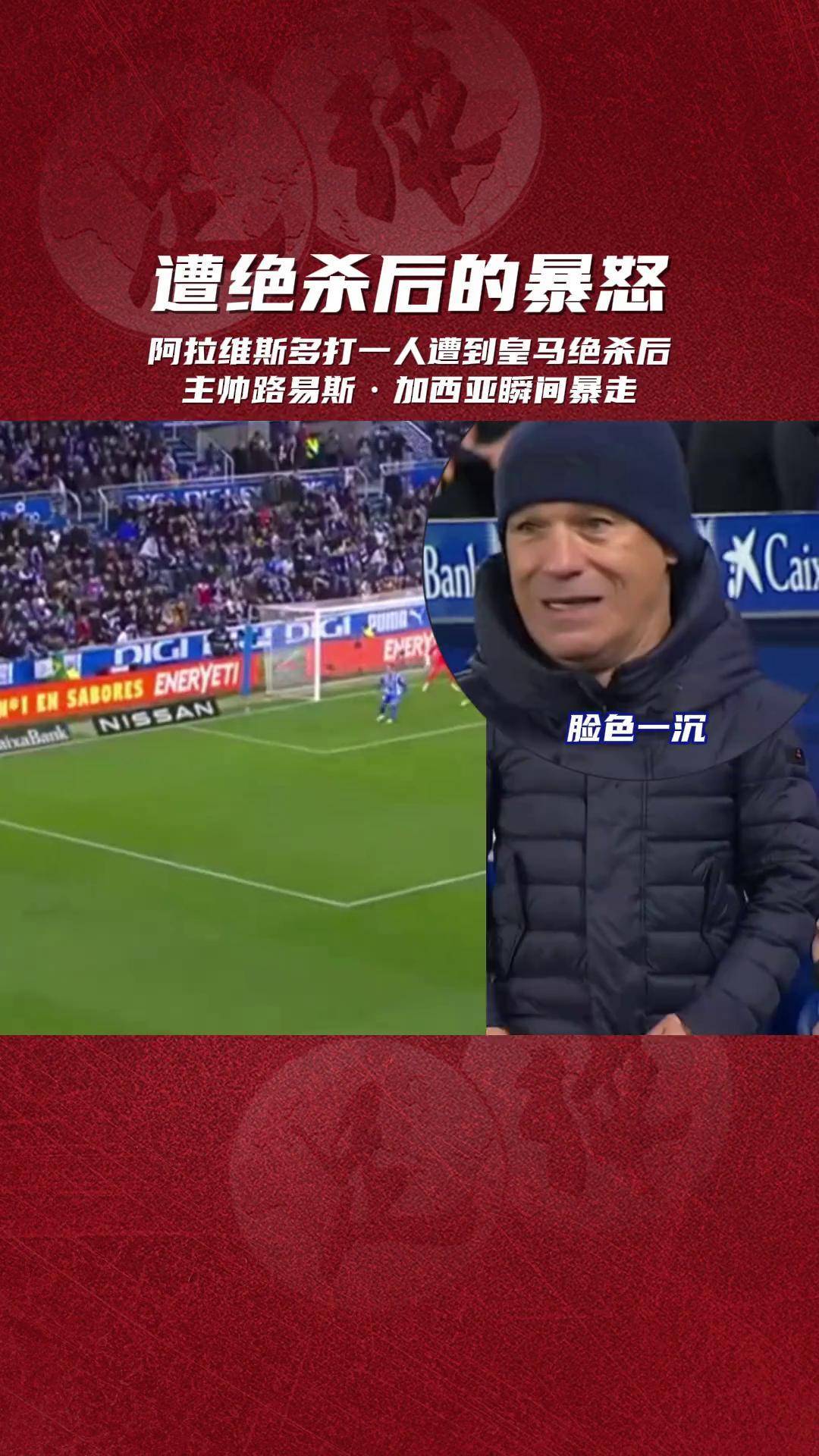 阿拉维斯主场告捷，保持住西甲保级的希望的简单介绍