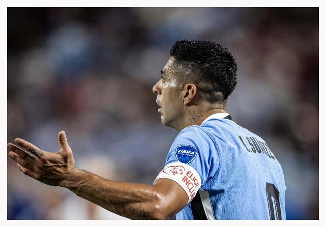 包含美洲杯赛精彩纷呈：谁将夺冠？的词条