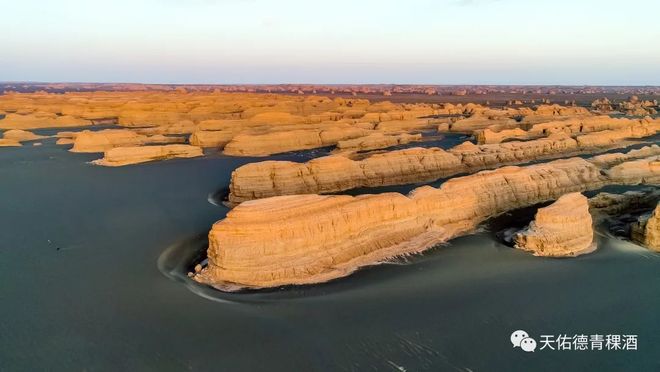 九游体育官方入口-包含青海高原队员团结一心，勇夺比赛胜利！的词条